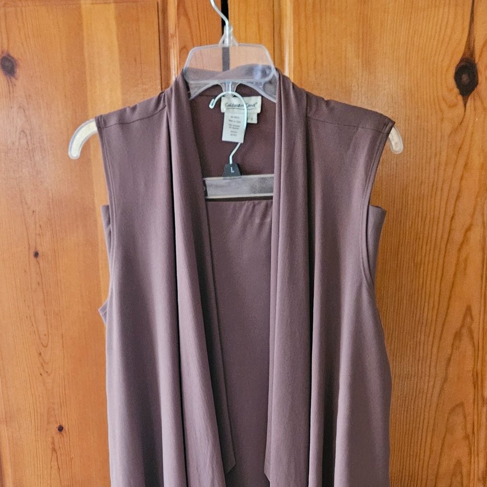 Coldwater Creek Mocha Skirt and Open Blouse Size Small